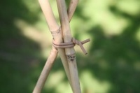 Soft-Tie dun binddraad